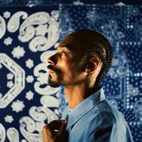 Snoop Dogg feat. Pharrell & Uncle Charlie Wilson - Beautiful　スヌープ・ドッグ「ビューティフル」
